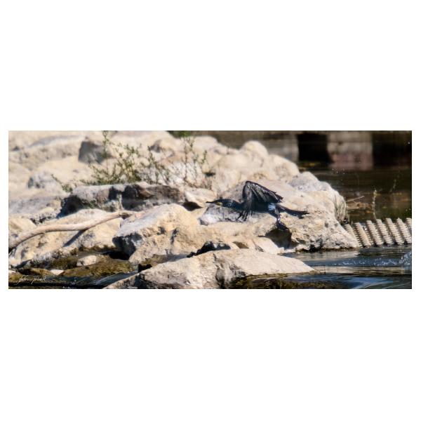 PHOTO84, CLUB, 84 , LUBERON